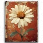 Daisies Flower White