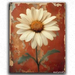 Daisies Flower White