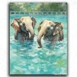 Elephants in Water