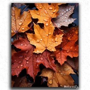Fall Leaves