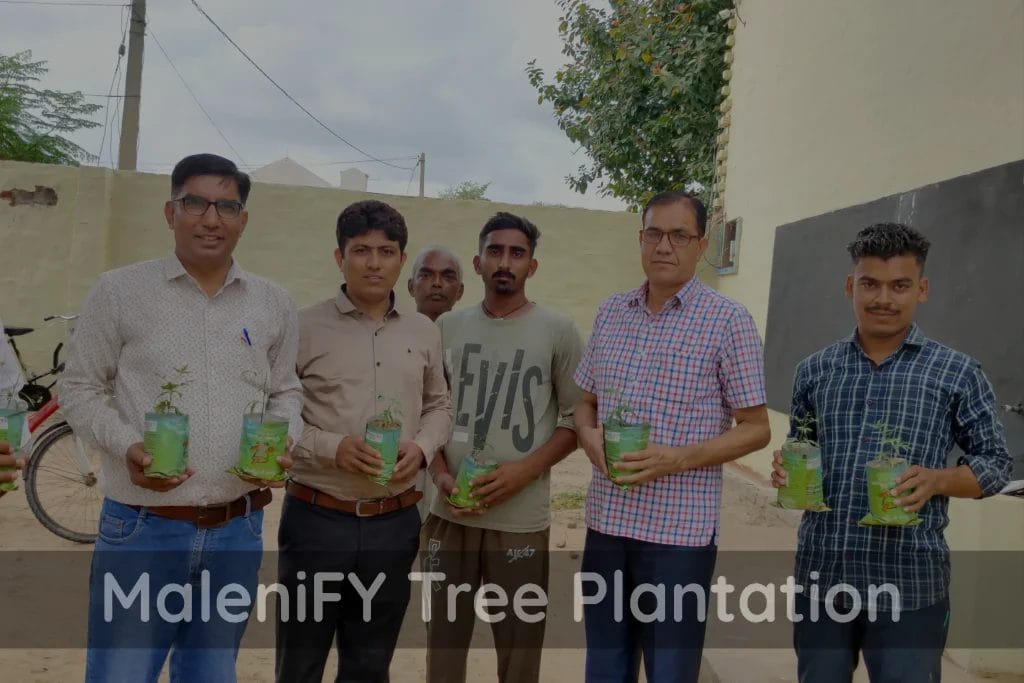 Tree Plantation 3