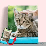 Custo pet portrait cat eye - Paint by Numbers