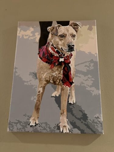 Custom Pet Portrait Paint by Numbers: Turn Your Furry Friend in Artwork photo review