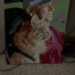 Custom Pet Portrait Paint by Numbers: Turn Your Furry Friend in Artwork photo review