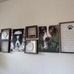 Custom Pet Portrait Paint by Numbers: Turn Your Furry Friend in Artwork photo review