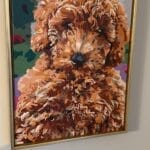 Custom Pet Portrait Paint by Numbers: Turn Your Furry Friend in Artwork photo review