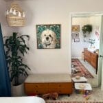 Custom Pet Portrait Paint by Numbers: Turn Your Furry Friend in Artwork photo review