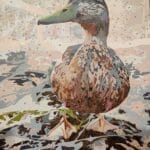 Custom Pet Portrait Paint by Numbers: Turn Your Furry Friend in Artwork photo review