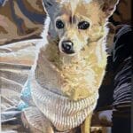 Custom Pet Portrait Paint by Numbers: Turn Your Furry Friend in Artwork photo review