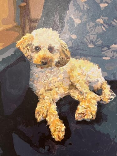 Custom Pet Portrait Paint by Numbers: Turn Your Furry Friend in Artwork photo review