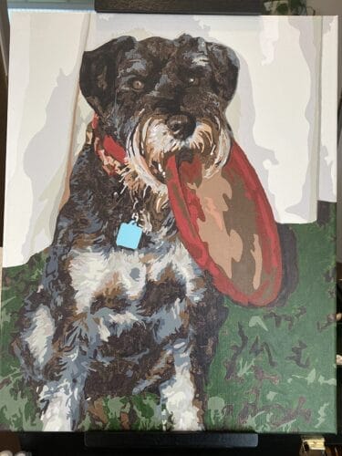 Custom Pet Portrait Paint by Numbers: Turn Your Furry Friend in Artwork photo review