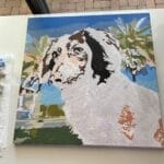 Custom Pet Portrait Paint by Numbers: Turn Your Furry Friend in Artwork photo review