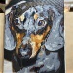 Custom Pet Portrait Paint by Numbers: Turn Your Furry Friend in Artwork photo review