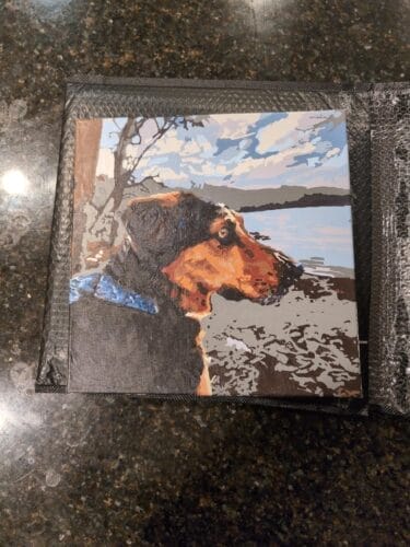 Custom Pet Portrait Paint by Numbers: Turn Your Furry Friend in Artwork photo review