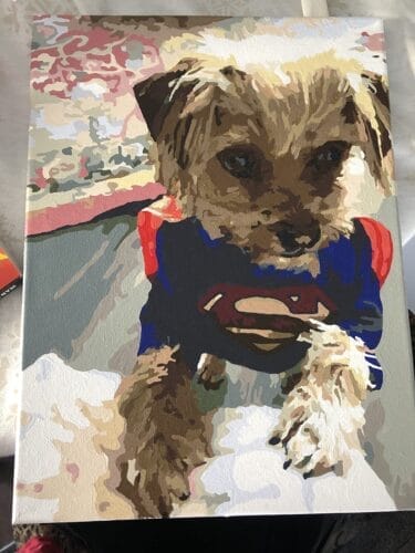 Custom Pet Portrait Paint by Numbers: Turn Your Furry Friend in Artwork photo review