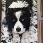 Custom Pet Portrait Paint by Numbers: Turn Your Furry Friend in Artwork photo review