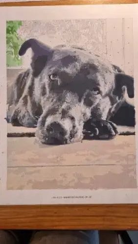 Custom Paint by Numbers Kit | Your Photo on Canvas | Gift Idea photo review