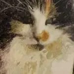 Custom Paint by Numbers Kit | Your Photo on Canvas | Gift Idea photo review