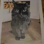 Custom Paint by Numbers Kit | Your Photo on Canvas | Gift Idea photo review