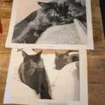Custom Paint by Numbers Kit | Your Photo on Canvas | Gift Idea photo review