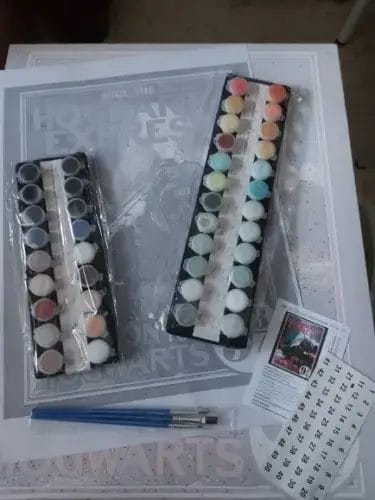 Custom Paint by Numbers Kit | Your Photo on Canvas | Gift Idea photo review