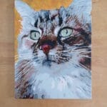 Custom Pet Portrait Paint by Numbers: Turn Your Furry Friend in Artwork photo review