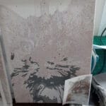 Custom Pet Portrait Paint by Numbers: Turn Your Furry Friend in Artwork photo review