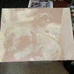 Custom Pet Portrait Paint by Numbers: Turn Your Furry Friend in Artwork photo review