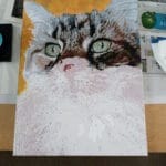 Custom Pet Portrait Paint by Numbers: Turn Your Furry Friend in Artwork photo review