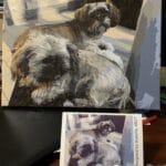 Custom Pet Portrait Paint by Numbers: Turn Your Furry Friend in Artwork photo review